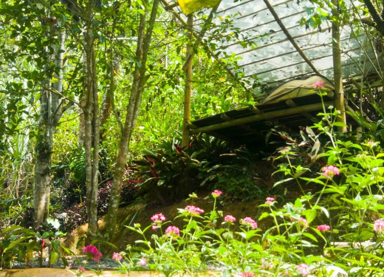 Bosque Colibri Hotel Cali 0*,  Colombia